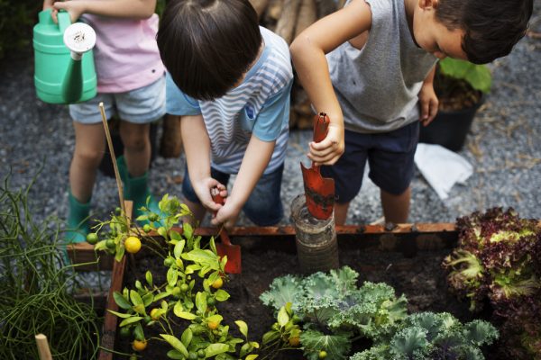 3 children garden education